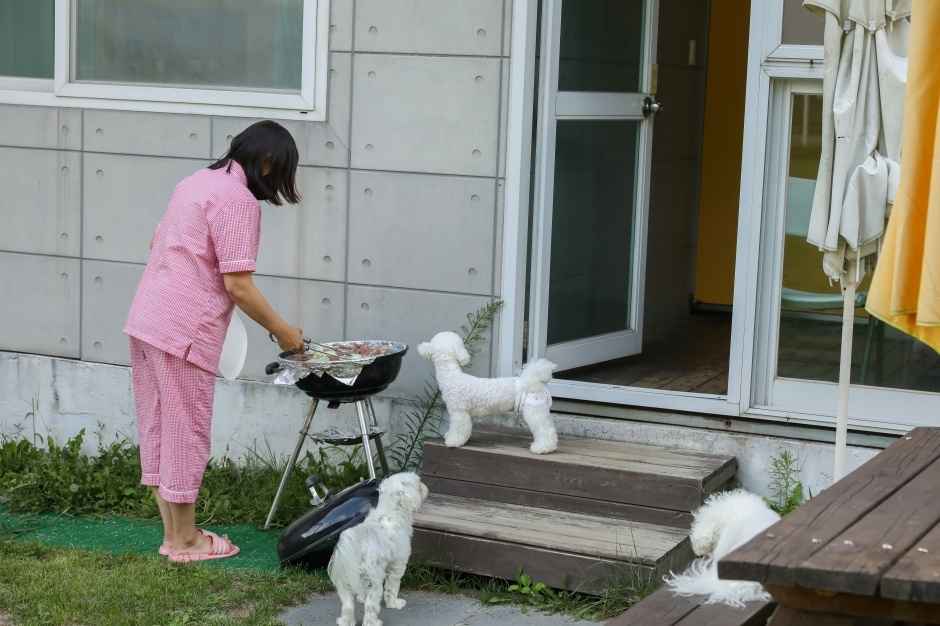 평창 도그밀리펜션 (DOGMILY) 이미지 7