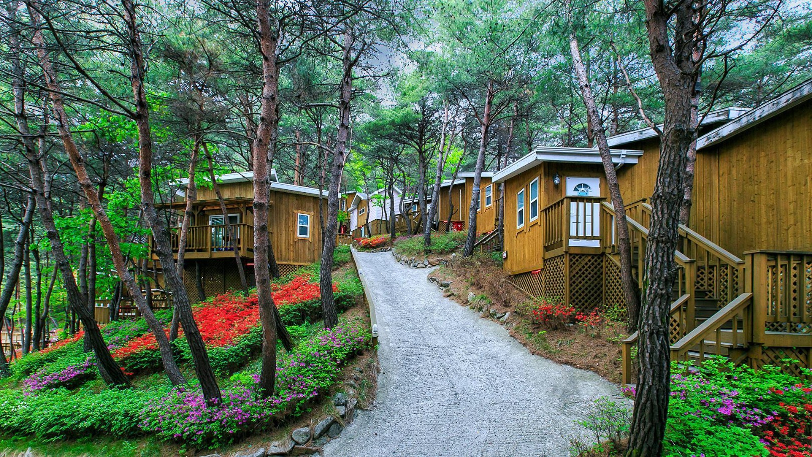 횡성 숲속의연인별 펜션 이미지 1