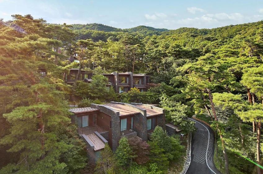 제천 포레스트리솜 이미지 11