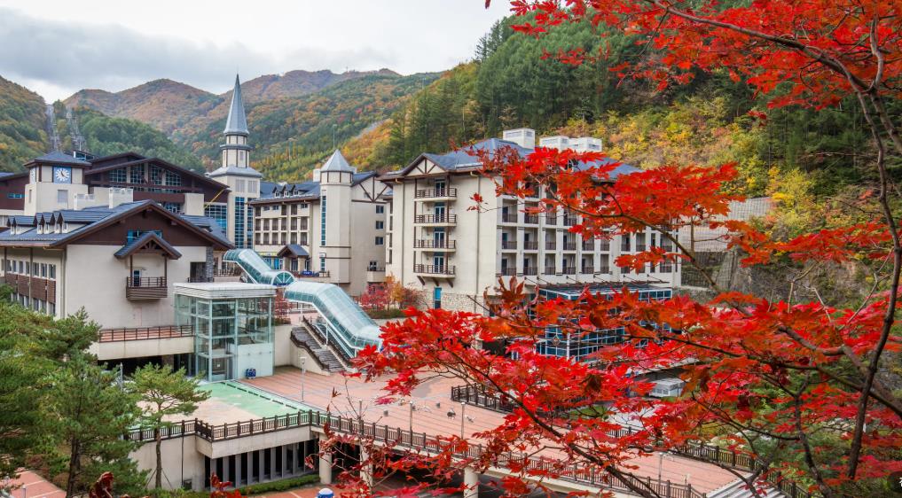 하이원리조트 마운틴콘도 이미지 5