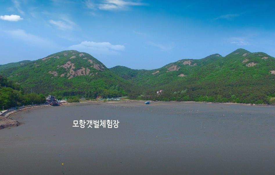 부안 전망좋은펜션 이미지 7