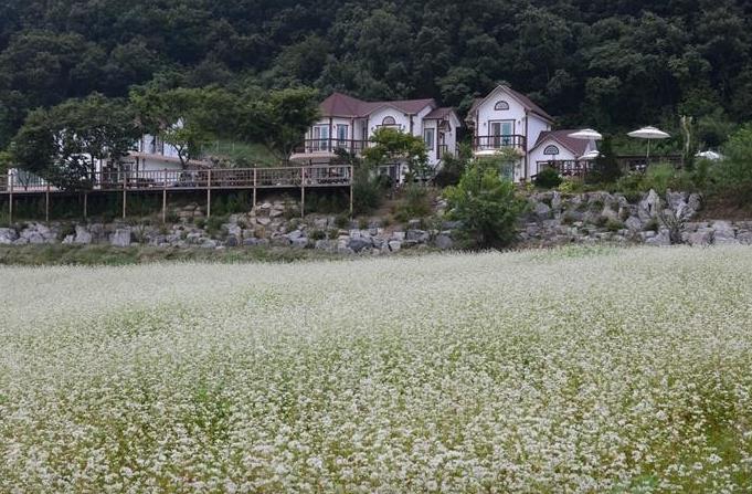 홍천 색채의숲 펜션 이미지 3