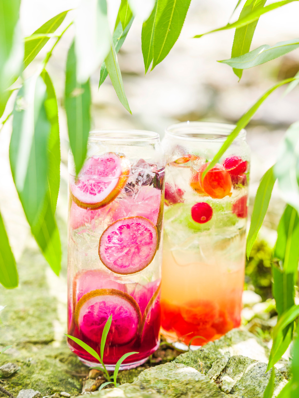 라드라비 카페 & 베이커리 이미지 8