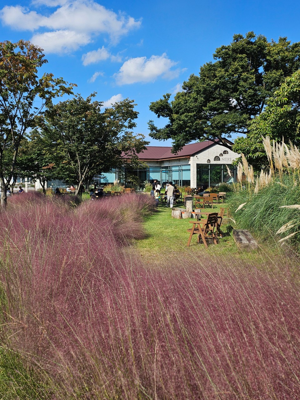 마메르 이미지 3