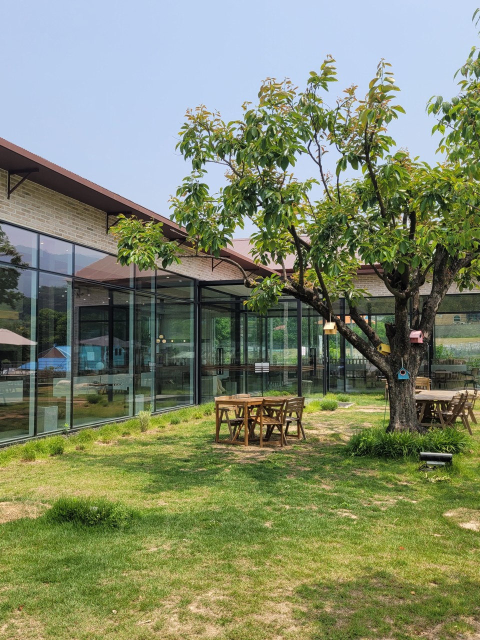 마메르 이미지 6