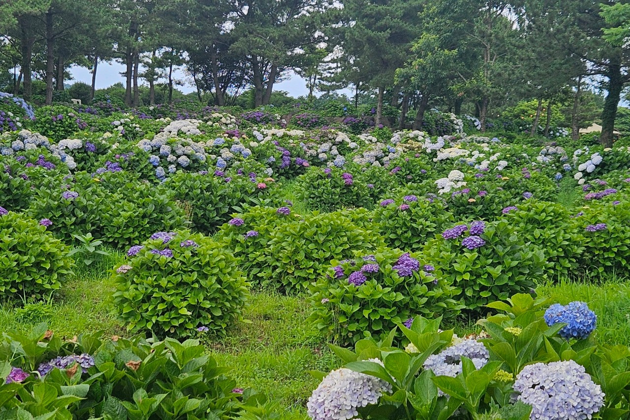 카페 글렌코 이미지 2
