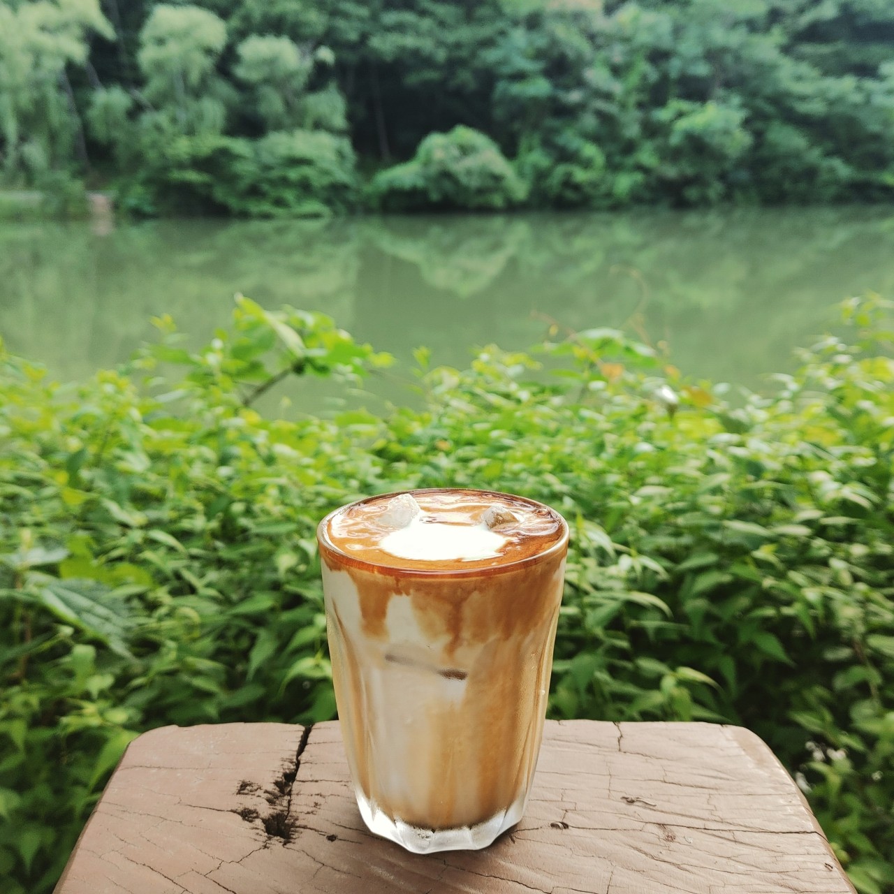 엔학고레 이미지 3