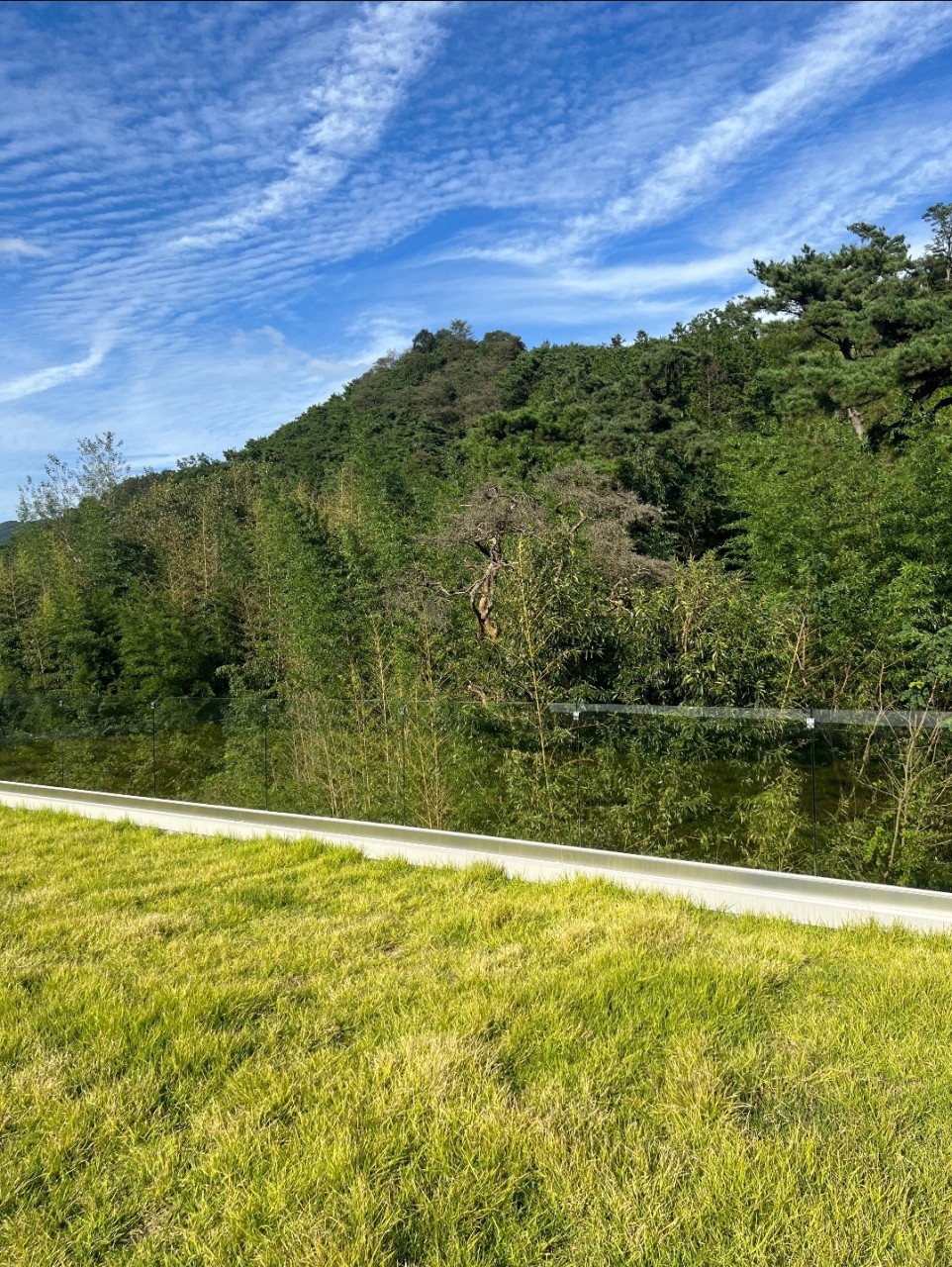 생츄어리 이미지 6