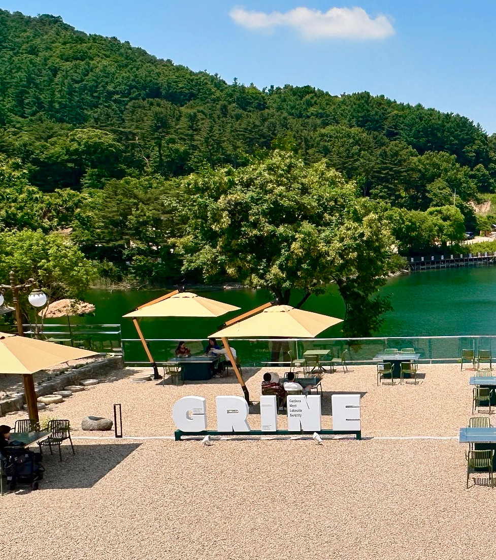 그리네 오아시스 이미지 2