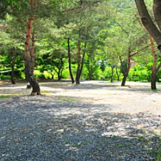 영월키즈캠핑장 이미지 7