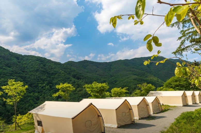 오글오글글램핑 이미지 3