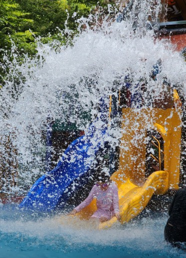 전원일기펜션오토캠핑장 이미지 6