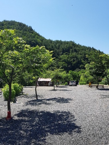 영월 첫물내기 캠핑장 이미지 7