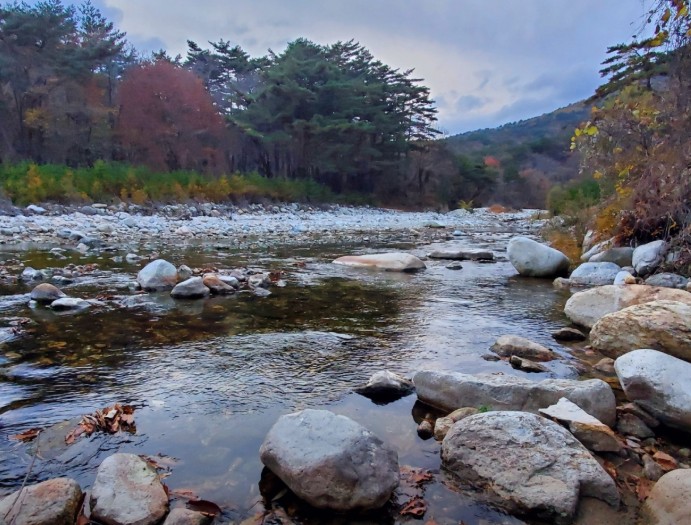 오색산새소리캠핑장 이미지 4