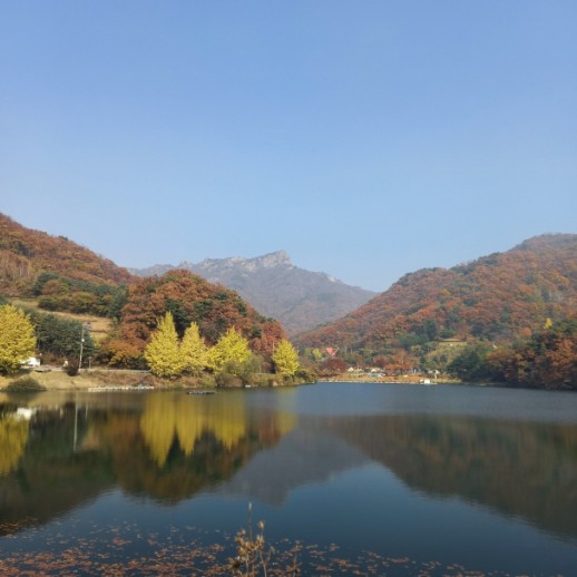 별빛 은하수 캠핑장 이미지 3