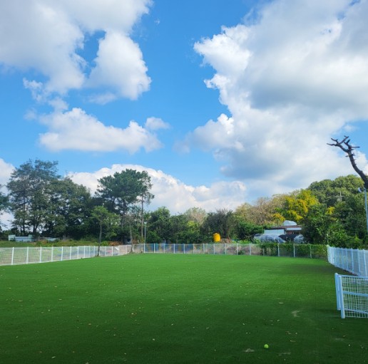 제이제이파크 이미지 6