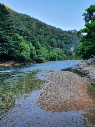 영월 밤골야영장 캠핑장 이미지 6