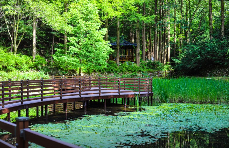 장태산자연휴양림 이미지 5