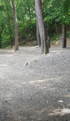 양양 수봉야영장 이미지 4