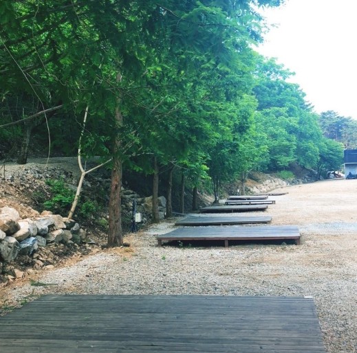 인제 내린천솔밭힐링캠핑장 이미지 1