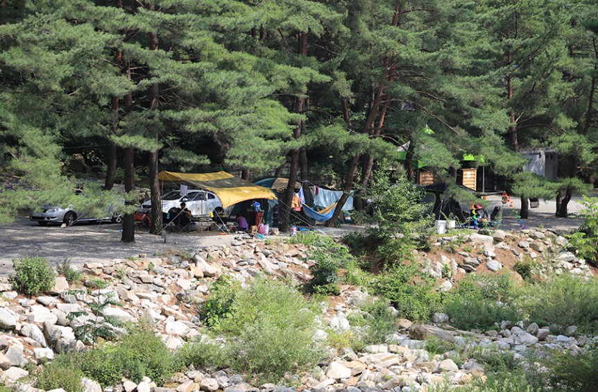 영월 황토와통나무 캠핑장 이미지 2