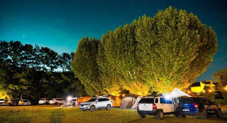 경주 소풍캠핑장 이미지 4