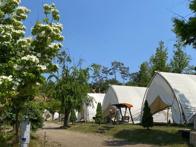 세종 다온숲 캠핑장 이미지 1