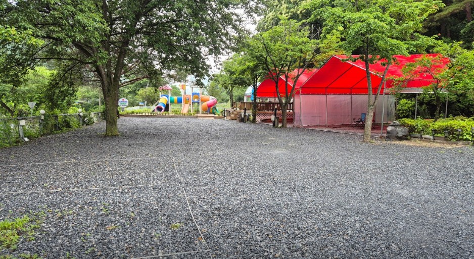 영월 법흥계곡 숲속의 아침 오토캠핑 이미지 4