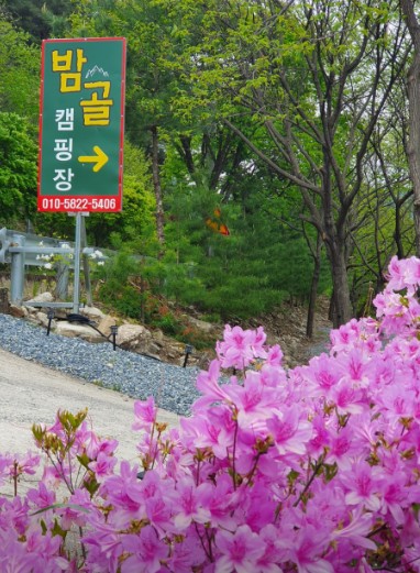 영월 밤골야영장 캠핑장 이미지 2