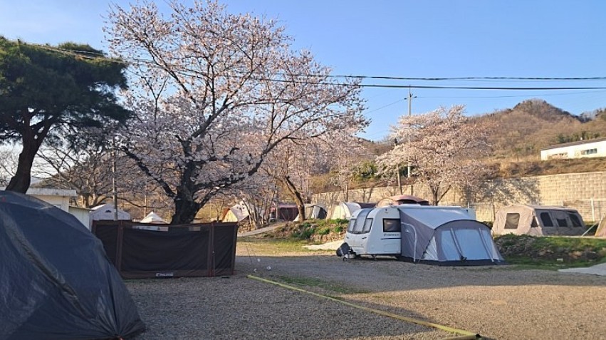 쿠키오토캠핑장 이미지 4