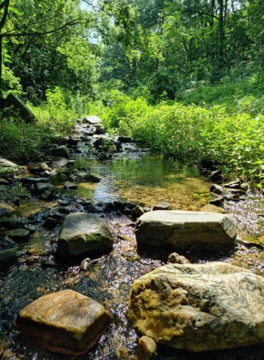 산디마을오토캠핑장 이미지 7