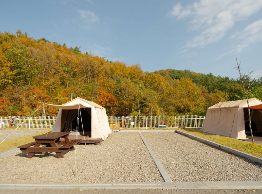 세종 합강캠핑장 이미지 3