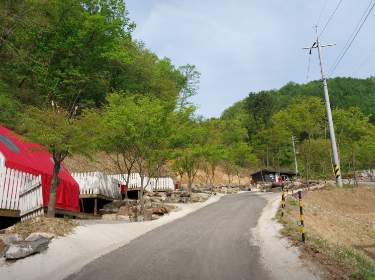 숲이야기캠핑장 이미지 2