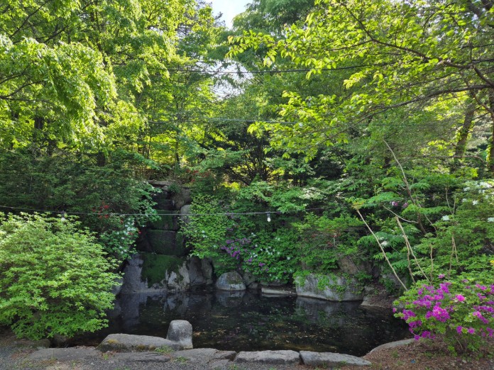 양양 비발디캠핑파크 설악오색점 이미지 7