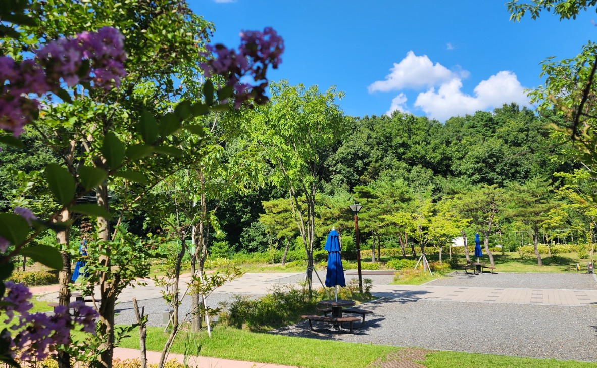 하기숲캠핑장 이미지 6