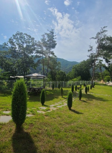 산내956 이미지 7