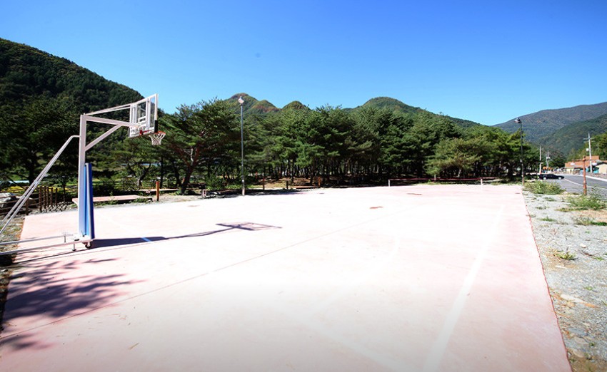 회동 솔향캠핑장 이미지 5