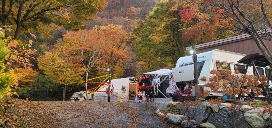 영월 가자 캠핑장 이미지 5