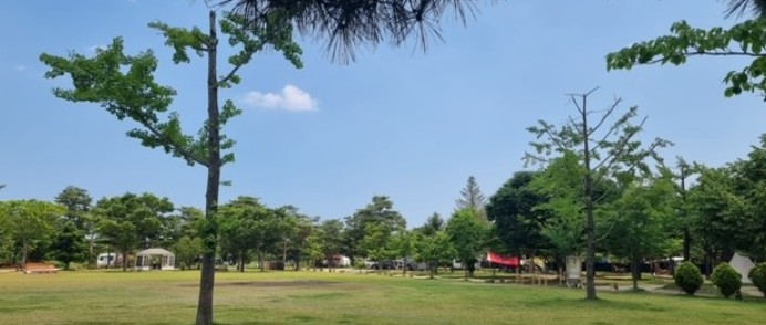 양양캠프장 이미지 7