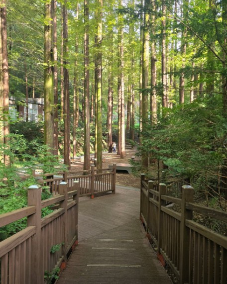 장태산자연휴양림 이미지 9