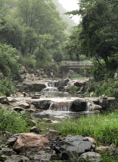 연천 담터오지캠핑장 이미지 8