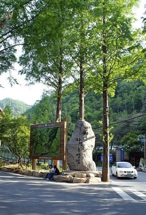 장태산자연휴양림 이미지 1