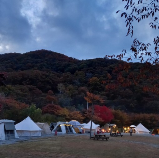 별빛 은하수 캠핑장 이미지 5