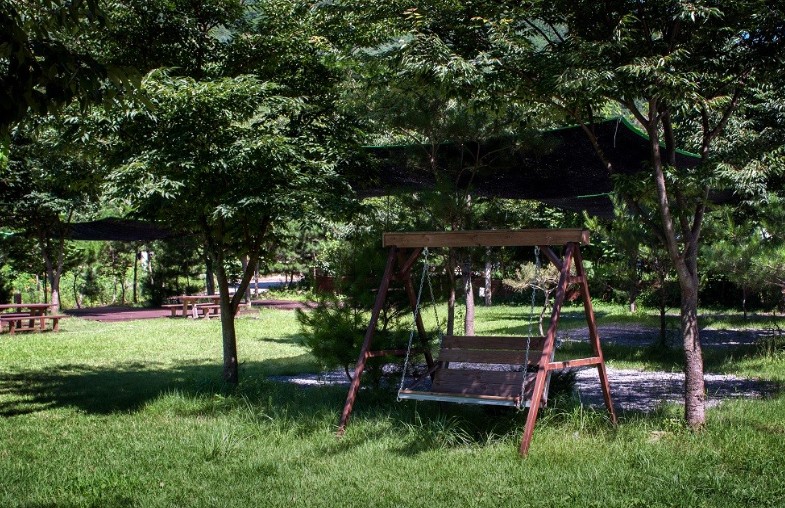 영월 법흥계곡 꿈엔들캠프 캠핑 글램핑 이미지 3