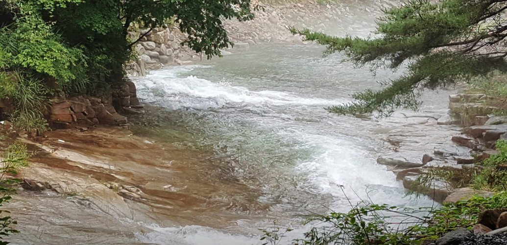 영월 소나무와계곡 이미지 4