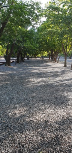 포천 뉴힐링캠핑장 이미지 8