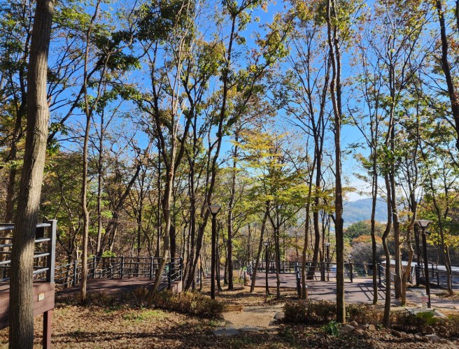 성북동숲속야영장 이미지 3