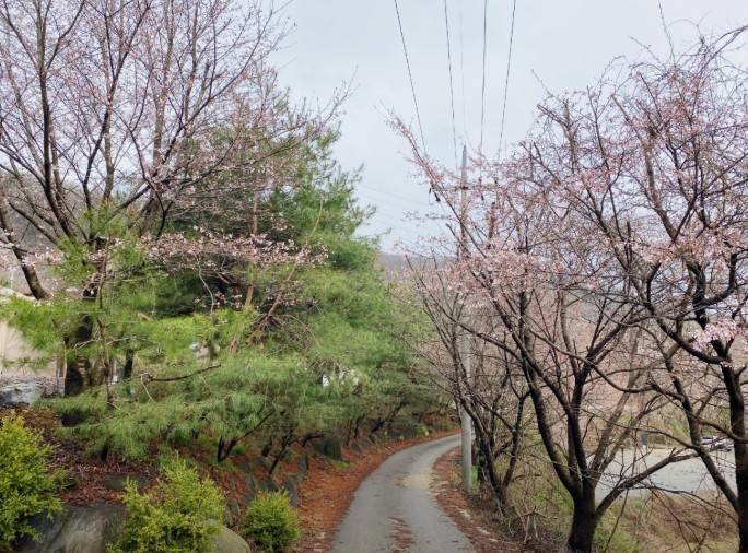 풍성채 캠핑장 이미지 1