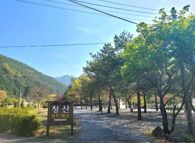 영월 청산캠프 이미지 2