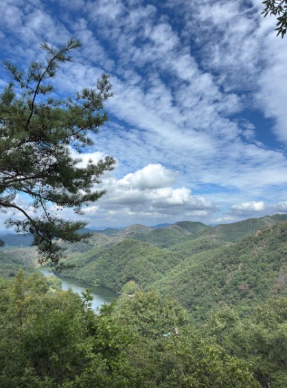 장태산자연휴양림 이미지 4